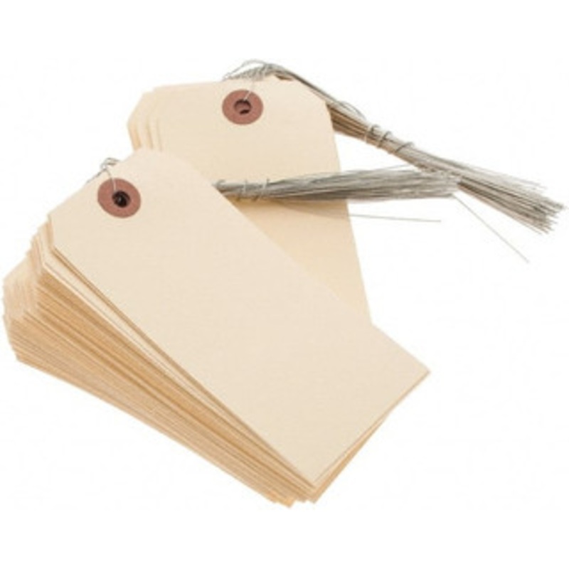 Value Collection 100 Qty 1 Pack 4-3/4 High x 2-3/8 Long, Safety & Facility Blank Tag Natural Cardstock BD-C148904 – 53587218