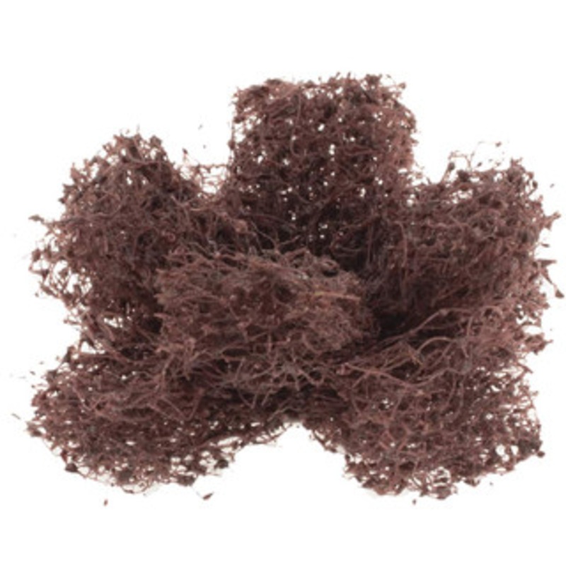 Merit Abrasives 1-1/2 x 1/2 Medium 2 Ply Cross Buff 8-32 Threaded Hole, 23,000 Max RPM 08834187312 – 86931383