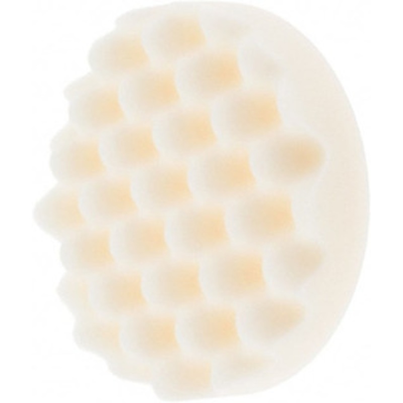 Tru-Maxx 5-1/4 Diam Foam Buffing & Backing Pad 1003186 – 36661056